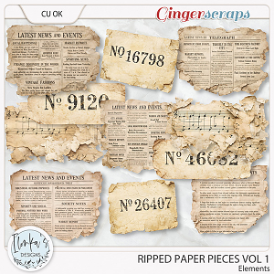 CU Ripped Paper Pieces Vol 1 by Ilonka's Designs