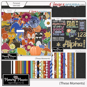 These Moments by Memory Mosaic