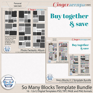 So Many Blocks Template Bundle by Miss Fish