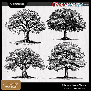 Illustrations: Trees CU by J. Conlon and Sons