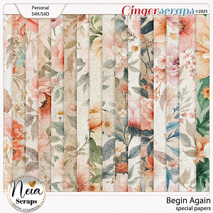 Begin Again - Special Papers - by Neia Scraps