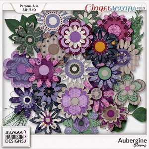Aubergine Blooms by Aimee Harrison