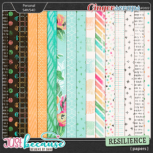 Resilience Papers by JB Studio