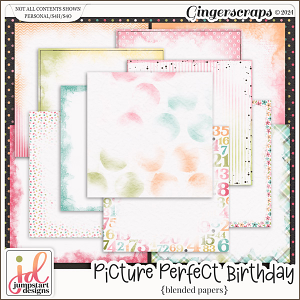 Picture Perfect Birthday {Blended Edgy Papers}