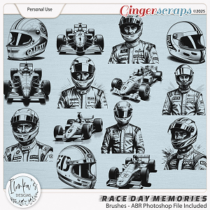 Race Day Memories Brushes by Ilonka's Designs