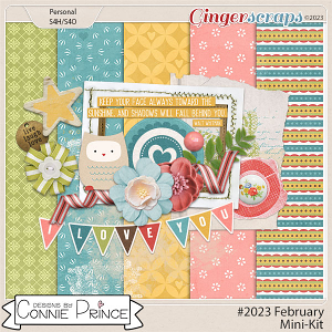 #2023 February - Mini Kit by Connie Prince