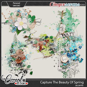 Capture the beauty of spring-Accents