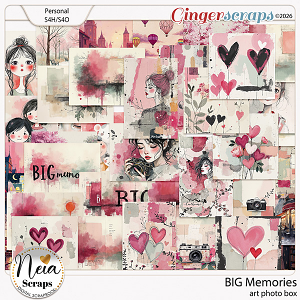 BIG Memories - Art Photo Box - by Neia Scraps