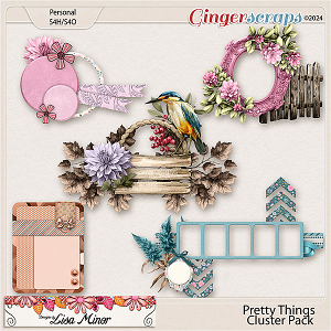 Pretty Things Cluster Pack from Designs by Lisa Minor