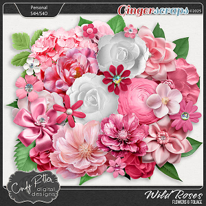 Wild Roses [Flowers & Foliage] by Cindy Ritter 