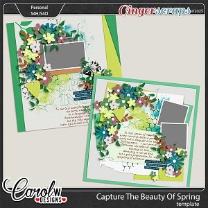 Capture the beauty of spring-Template