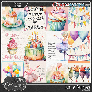 Just A Number [Journal Cards] by Cindy Ritter