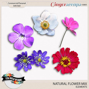 Natural Flower CU Mix by Lisa Rosa Designs