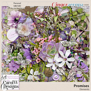 Promises-Elements