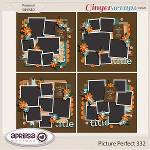 Picture Perfect 332 by Aprilisa Designs
