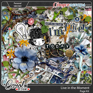Live in the Moment-Page Kit
