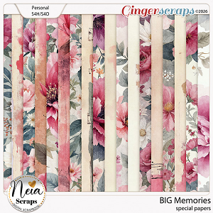 BIG Memories - Special Papers - by Neia Scraps