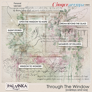 Through The Window  Overlays and WA by Palvinka Designs
