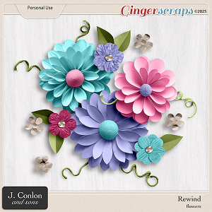 Rewind Flowers by J. Conlon and Sons