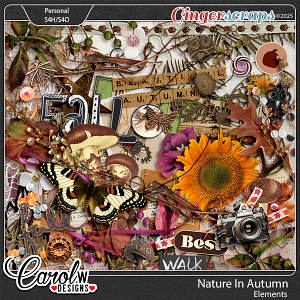 Nature In Autumn-Elements