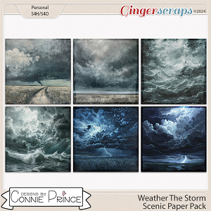 Weather The Storm - Storm Papers by Connie Prince