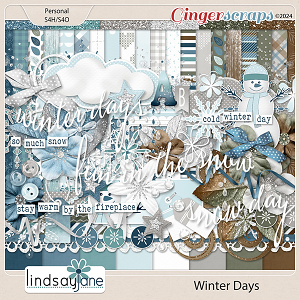 Winter Days by Lindsay Jane