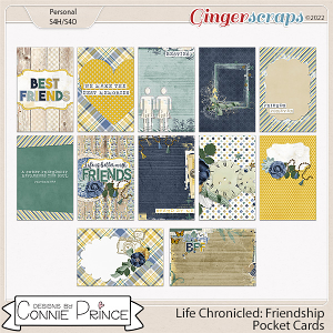 Life Chronicled: Friendship - Pocket Cards by Connie Prince