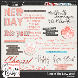 Ring In The New Year!-Word art