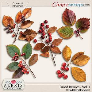 CU - Dried Berries Vol. 1