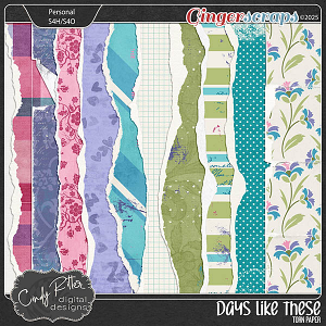 Days Like These [Torn Papers] by Cindy Ritter 