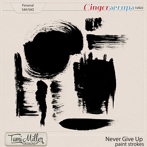 Never Give Up Paint Strokes by Tami Miller Designs