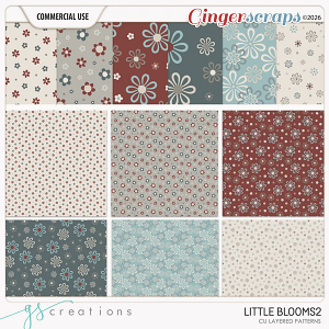 Little Blooms2 Patterns by GS Creations