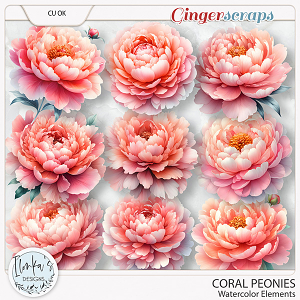 CU Watercolor Coral Peonies by Ilonka's Designs