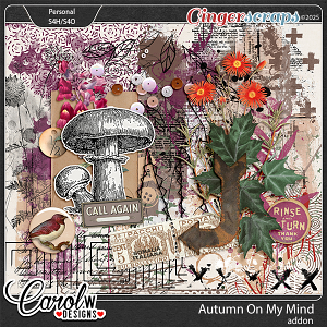 Autumn On My Mind-Addon