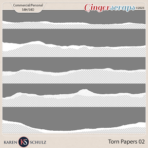 Torn Papers 02 by Karen Schulz