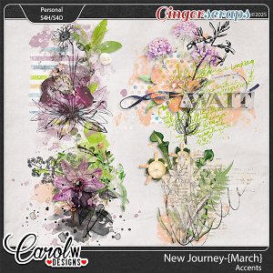 New Journey-{March} -Accents