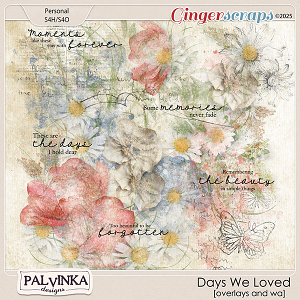 Days We Loved Overlays and WA by Palvinka Designs