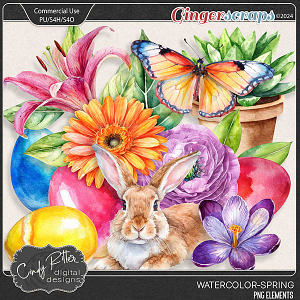 Watercolor V1-Spring by Cindy Ritter [CU]
