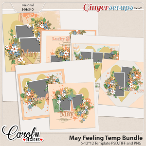 May Feeling-Template Bundle May Feeling-Template Bundle