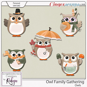Owl Family Gathering Owls by Scrapbookcrazy Creations