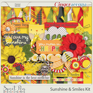 Sunshine and Smiles Kit