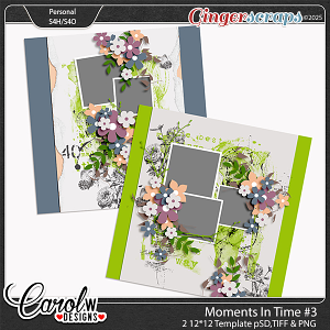 Moments In Time-Template vol 3 Moments In Time-Template vol 3