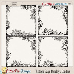 Vintage Page Overlays Borders 22