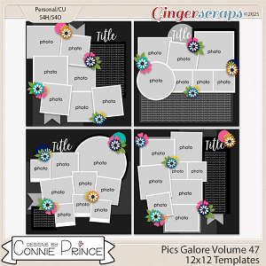 Pics Galore Volume 47 - 12x12 Temps (CU Ok) by Connie Prince