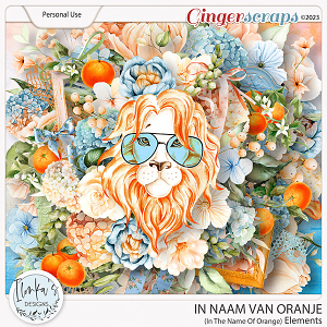 In Naam Van Oranje Elements by Ilonka's Designs