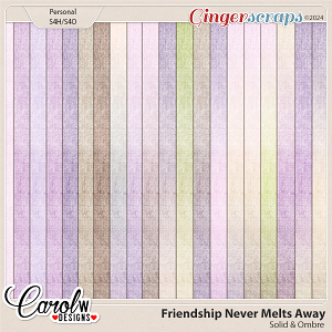 Friendship Never Melts Away-Solid & Ombre
