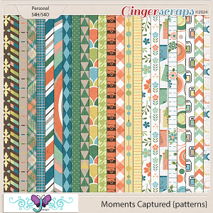 Moments Captured {patterns} by Triple J Designs