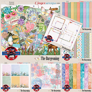 The Burgeoning Bundle By The Brit Chick