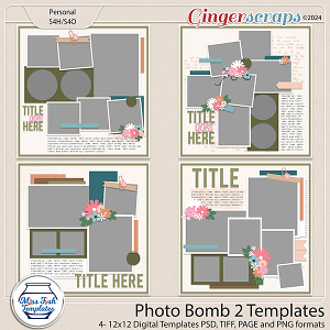 Photo Bomb 2 Templates by Miss Fish