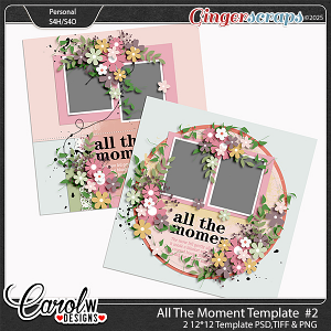 All The Moment-Template vol 2